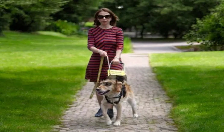 Rehber Köpekler: Sessiz Dostluk, Görünmeyen Güç