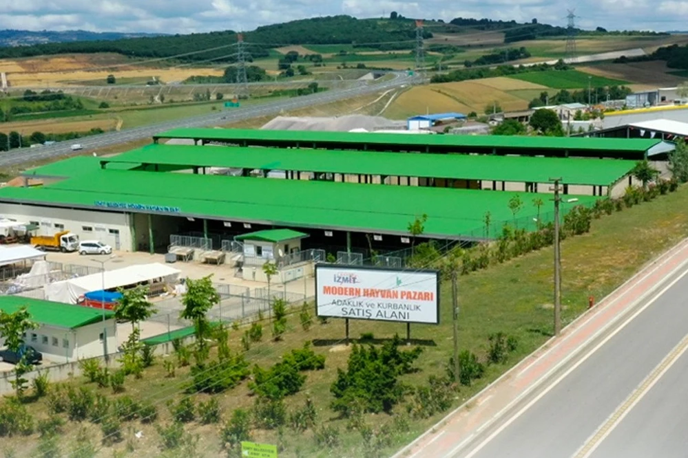 İzmit