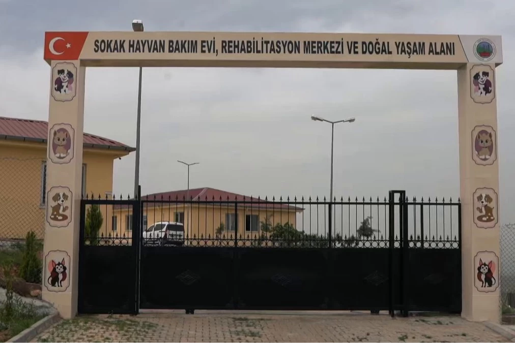 Siirt