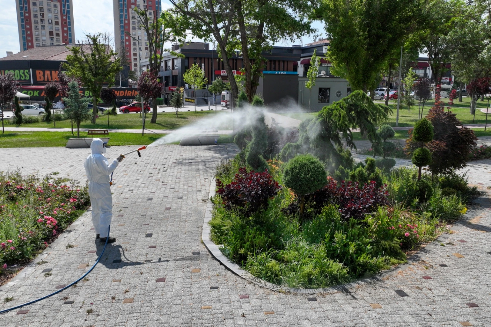 Konya