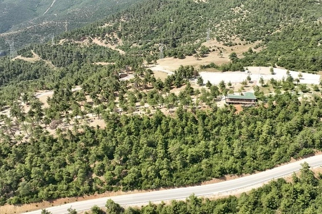 Bursa Gürsu